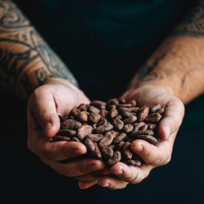Cacao Hazelnut Praline