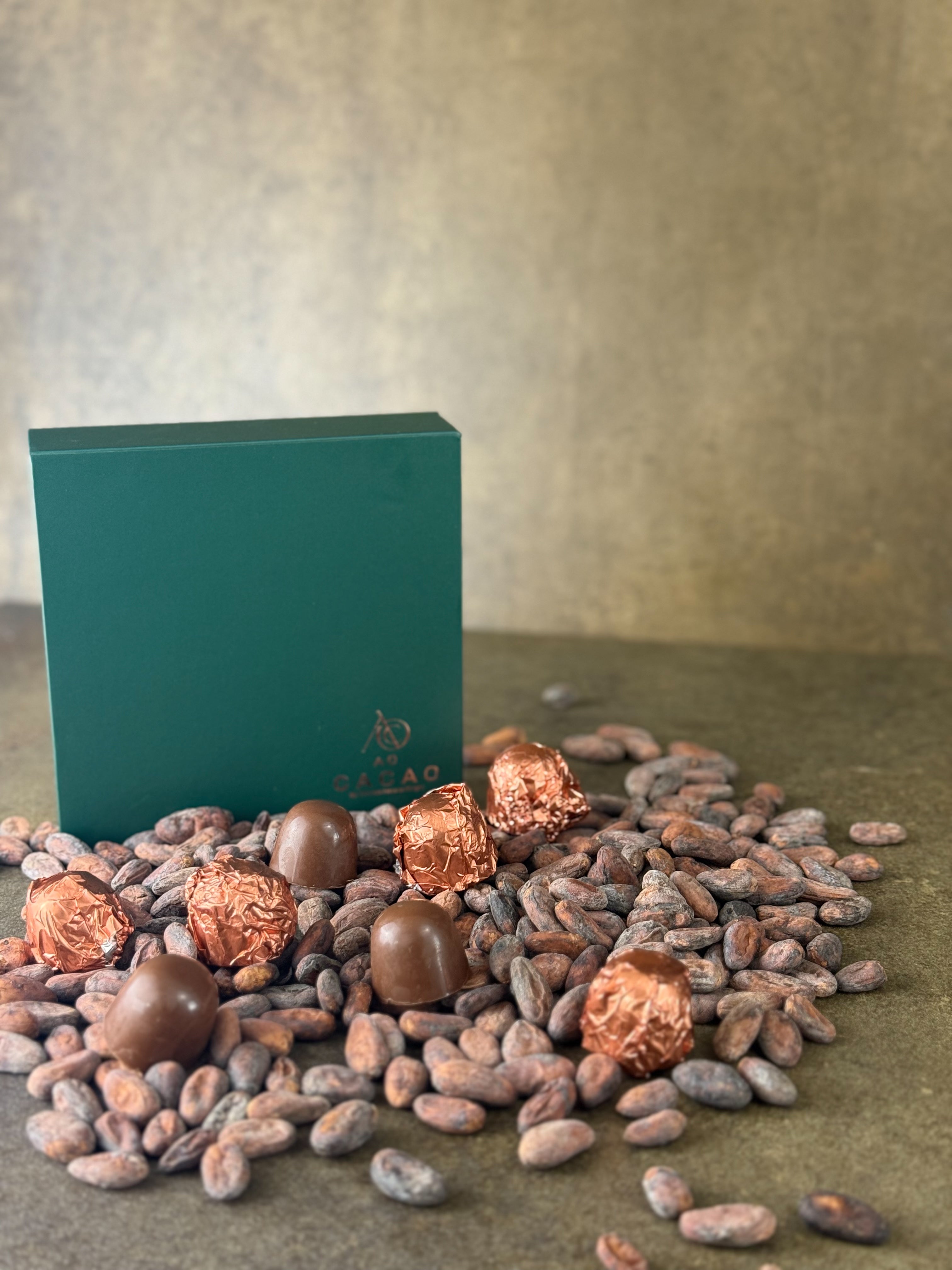 Salted Caramel Hazelnut Milk Chocolate Pralines 16 piece box PRE ORDER