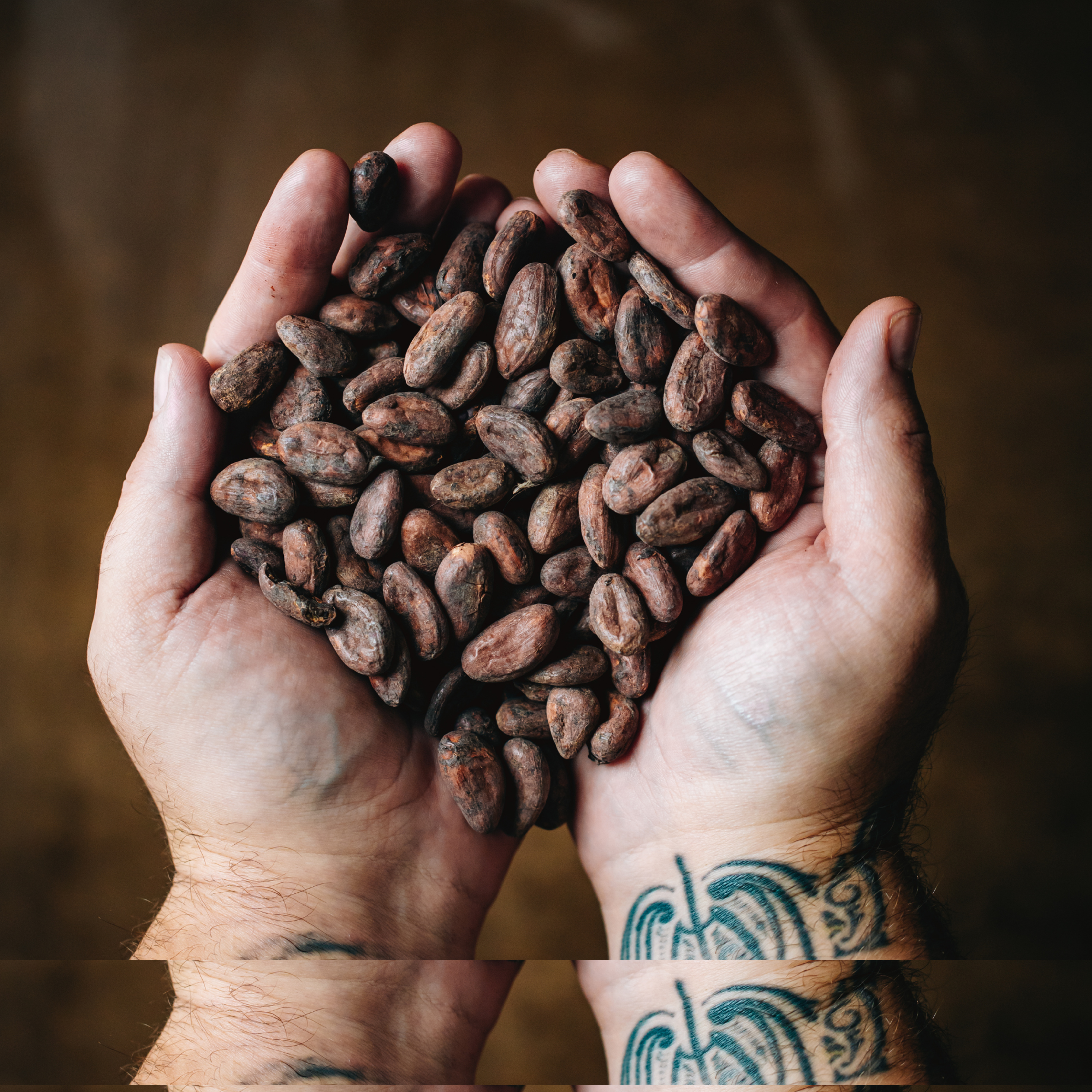 Shop Cacao Products | The Cacao Ambassador